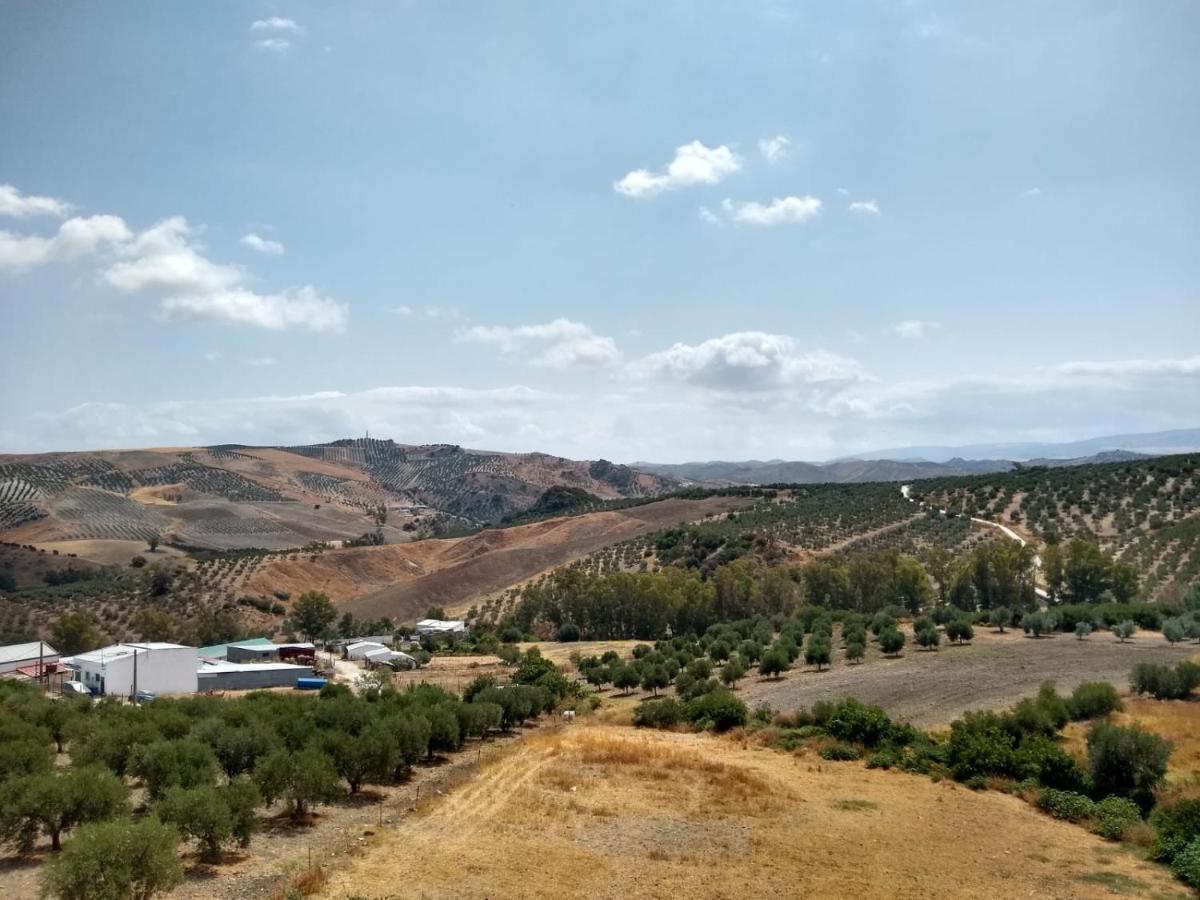 Apartamento Completo En Sierra Sur Villanueva de San Juan المظهر الخارجي الصورة